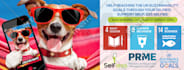 design a beautiful website header or banner