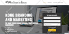 design a professional landing page, email newsletter