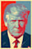 make shepard fairey art