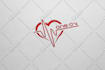 provide you with professional logo for less hassle