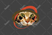 convert image or photo to vector