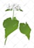 do vector tracing of your image or logo