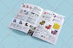 design a professional brochure or catalog and graphic design