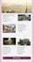 design a catchy responsive mailchimp newsletter  template