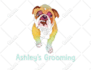 vector file or logo to cdr