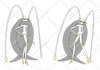vectorize images and logo