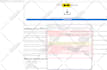 debug php, laravel, html, css, javascript issues
