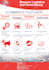 provide brochure design service