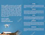 design promotional bi fold brochure