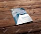 design stunning brochures and professional company profiles