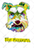 make colorful pop art illustration of your dog or cat