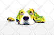 make colorful pop art illustration of your dog or cat