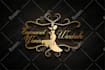 provide astonishing business branding services