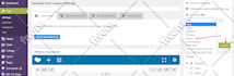 create a custom wordpress ,PHP website