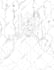 create coloring book designs