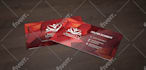 design a professional and elegant business card