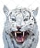 illustrate any realistic objects or animals