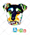 make colorful pop art illustration of your dog or cat
