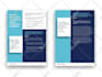 design a top quality poster for your project