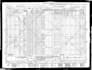 research your family tree