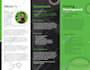 design a brochure for your business