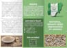 design a professional flyer or brochure for your business