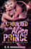 design professional romance book cover
