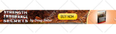 design attractive website banner within 24 hours