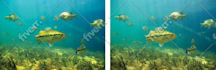 enhance photos in photoshop