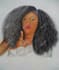 illustrate pencil portrait of anything
