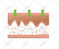 vector trace image logo illustration or anything manually