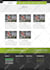 fix, install, create wordpress site using divi theme