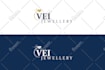 design a professional and amazing website logo