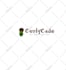 create a professional business logo design