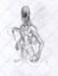 create undead monster for you