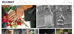 build  professional website for you