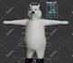 do advance 3d character sculpture, modeling, and rigging