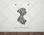 create typography from logo or image