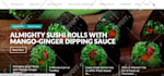 develop a wordpress website design and blog