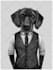 draw your pet in jacket