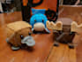 make you a cube platypus