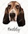 make colorful pop art illustration of your dog or cat