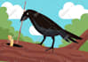 draw your ideas as flat design cartoons