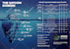 design a professional business brochure and flyer
