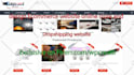 design ecommerce website online store or dropshipping