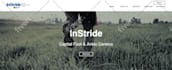 design an extraordinary wix landing page