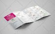 design a business flyer, brochures, and postcard for you