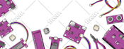 draw vector illustration in any style