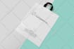 create a professional shopping bag design