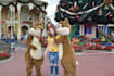 cut out images, background removal, transparent photo